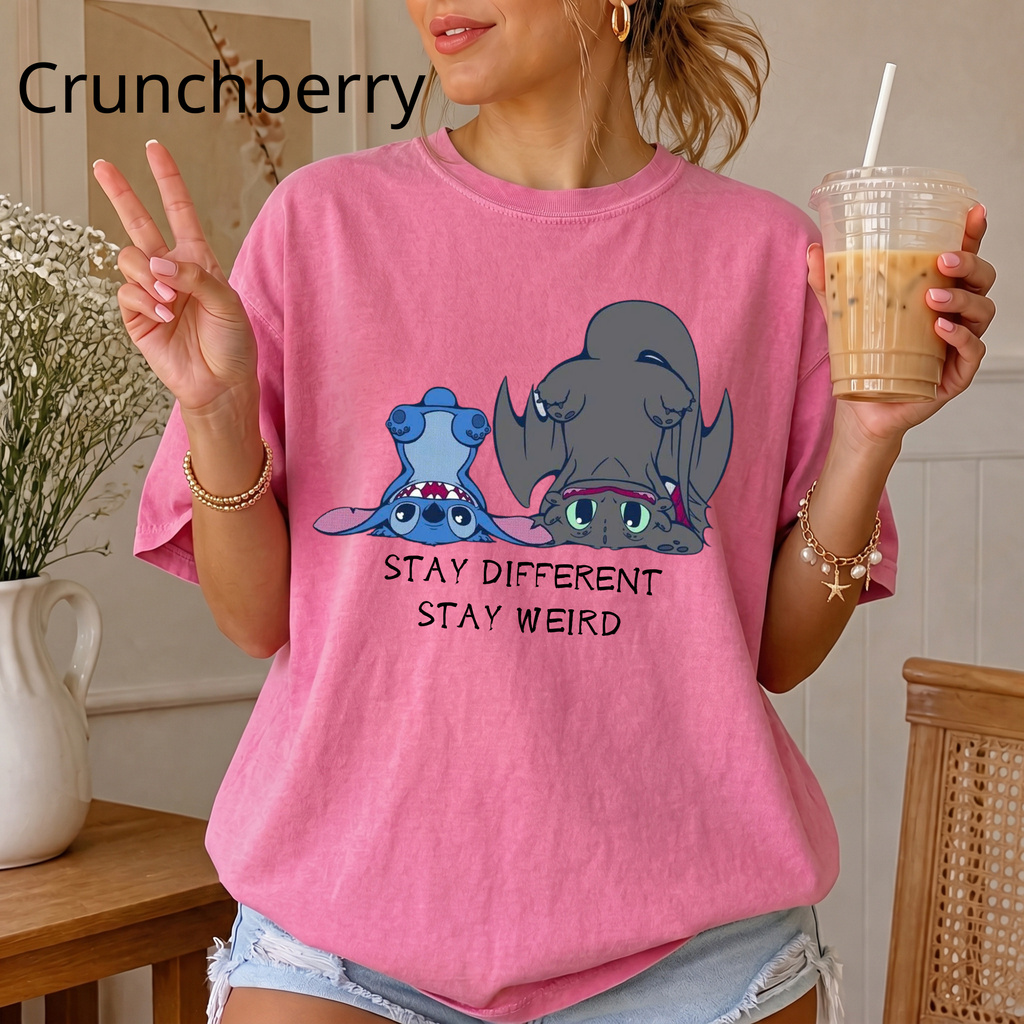 "Stay Different Stay Weird" Shirt, Stitch and Toothless cute tee