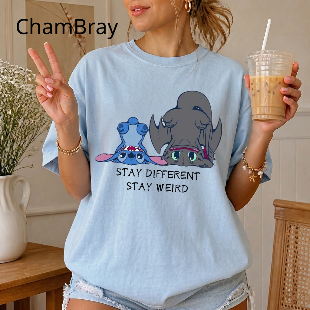 "Stay Different Stay Weird" Shirt, Stitch and Toothless cute tee