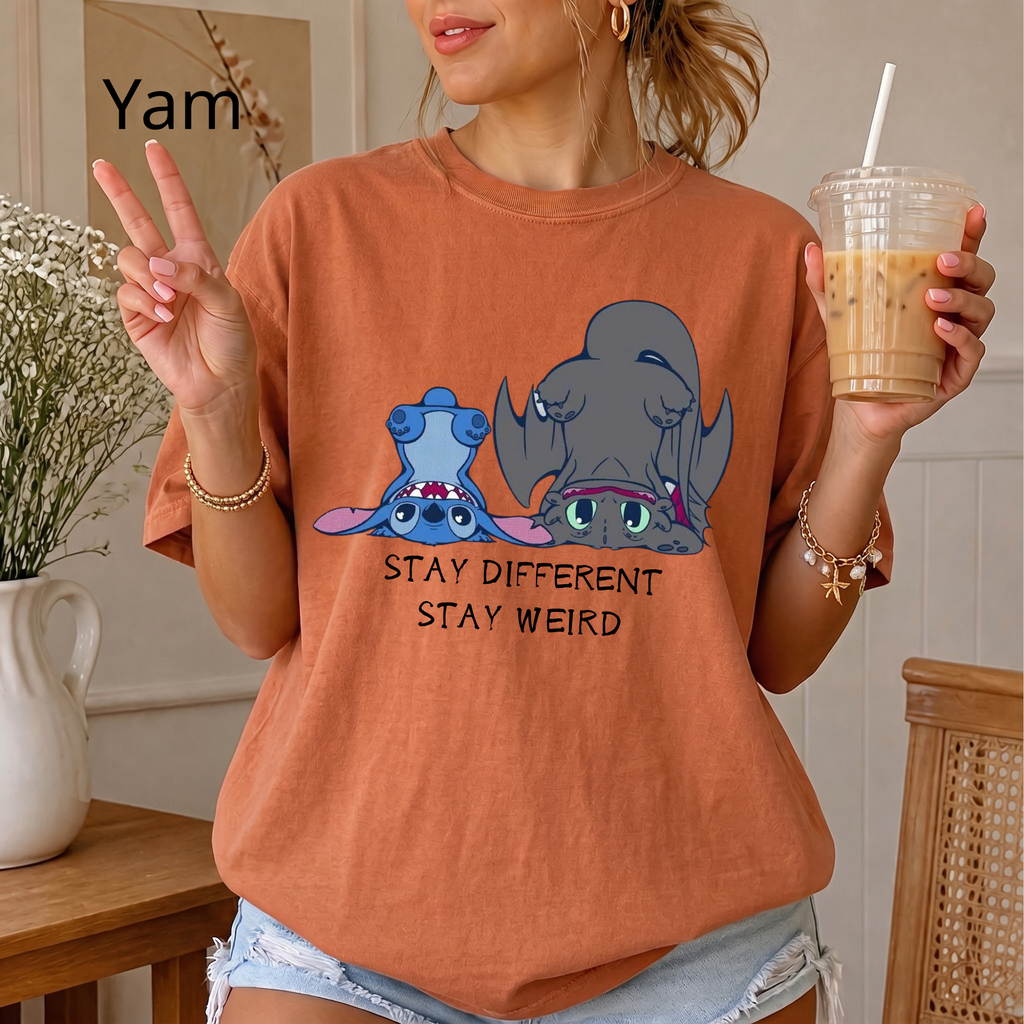 "Stay Different Stay Weird" Shirt, Stitch and Toothless cute tee
